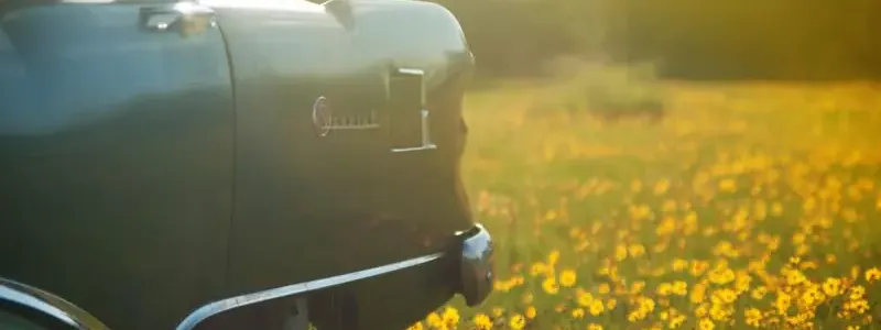 Side of a classic car in a field of yellow flowers
