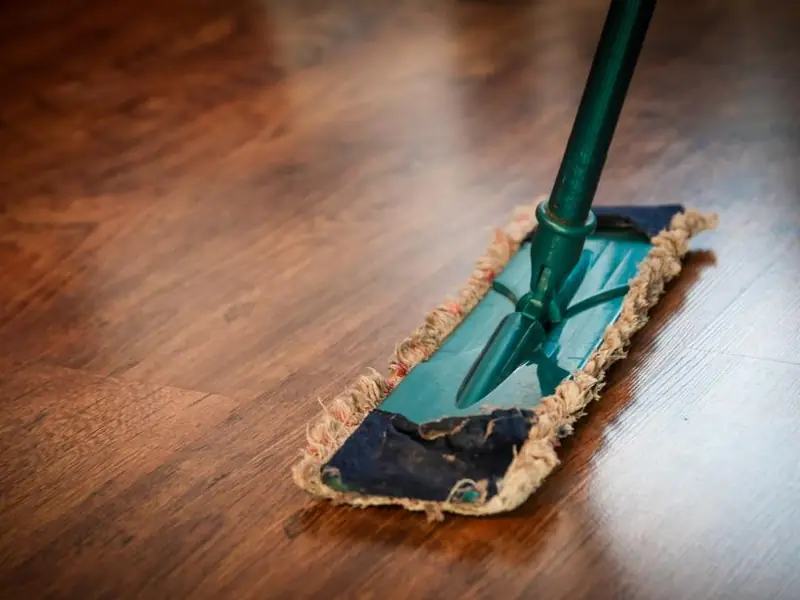 Mop cleaning a wooden floor