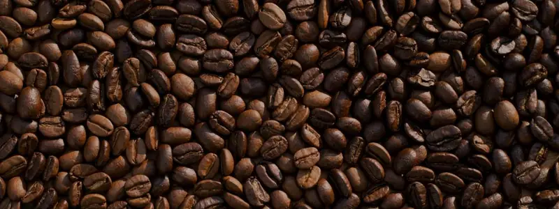 Roasted coffee beans