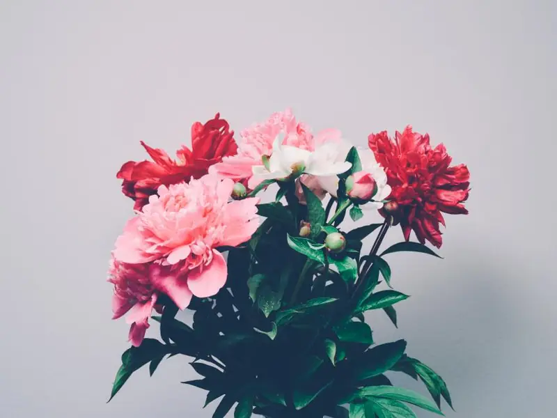 Bouquet of pink and red carnations