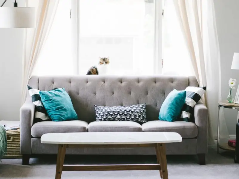 Grey sofa with cushions in a bright living room