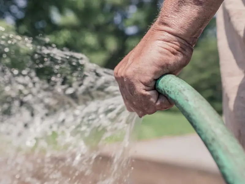 Gardener watering plants with a hose